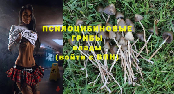 дурь Волосово