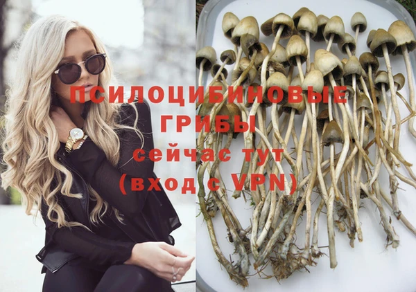 2c-b Верхний Тагил